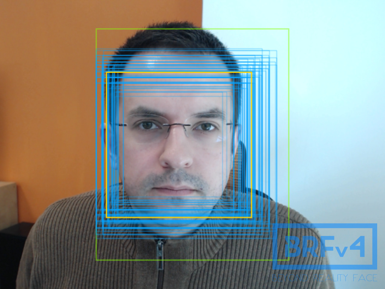 Restrict the region of interest (green rectangle) to set a specific detection area.